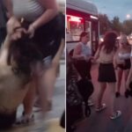 Вышедшая на свободу после драки в автобусе жительница Волгограда снова угодила в конфликт на этом же рейсе